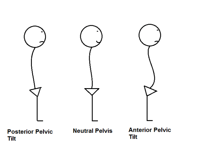 TIP12 Pelvis 201 The Pelvic Tilt Realign First