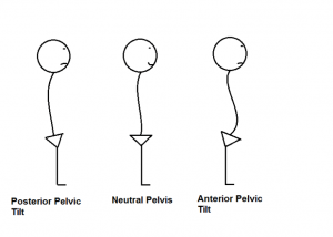 Simplifying The Pelvis